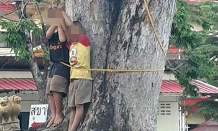 เด็กขโมยเงิน 200 ถูกจับขึงต้นไม้ประจานแล้วตีซ้ำ ชาวเน็ตจวกเกินกว่าเหตุ