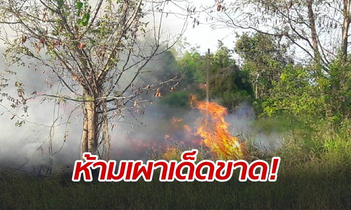 ผู้ว่าฯ โคราชห่วงปัญหา "PM 2.5" สั่ง 32 อำเภอห้ามเผาป่าเด็ดขาด-ฝ่าฝืนมีโทษหนัก
