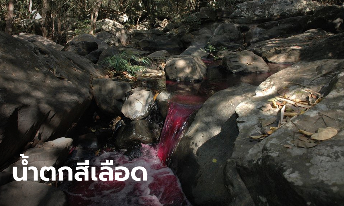 แตกตื่น! น้ำตกกลายเป็นสีแดง ชาวบ้านนึกว่าลางไม่ดีหอบครอบครัวเผ่นกลับ