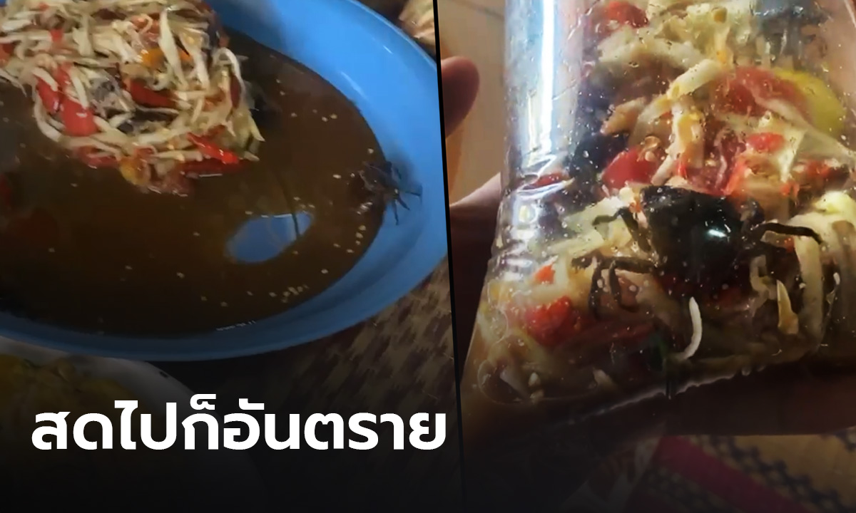กรมอนามัย เตือน “ปูเดินในจานส้มตำ” สดไปก็อันตราย ปรุงไม่สะอาด-อาหารเป็นพิษ