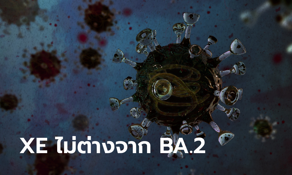 "ดร.อนันต์" นักไวรัสวิทยา ชี้อย่ากลัวโควิดสายพันธุ์ XE มากกว่า BA.2 ที่มีอยู่เต็มเมืองตอนนี้