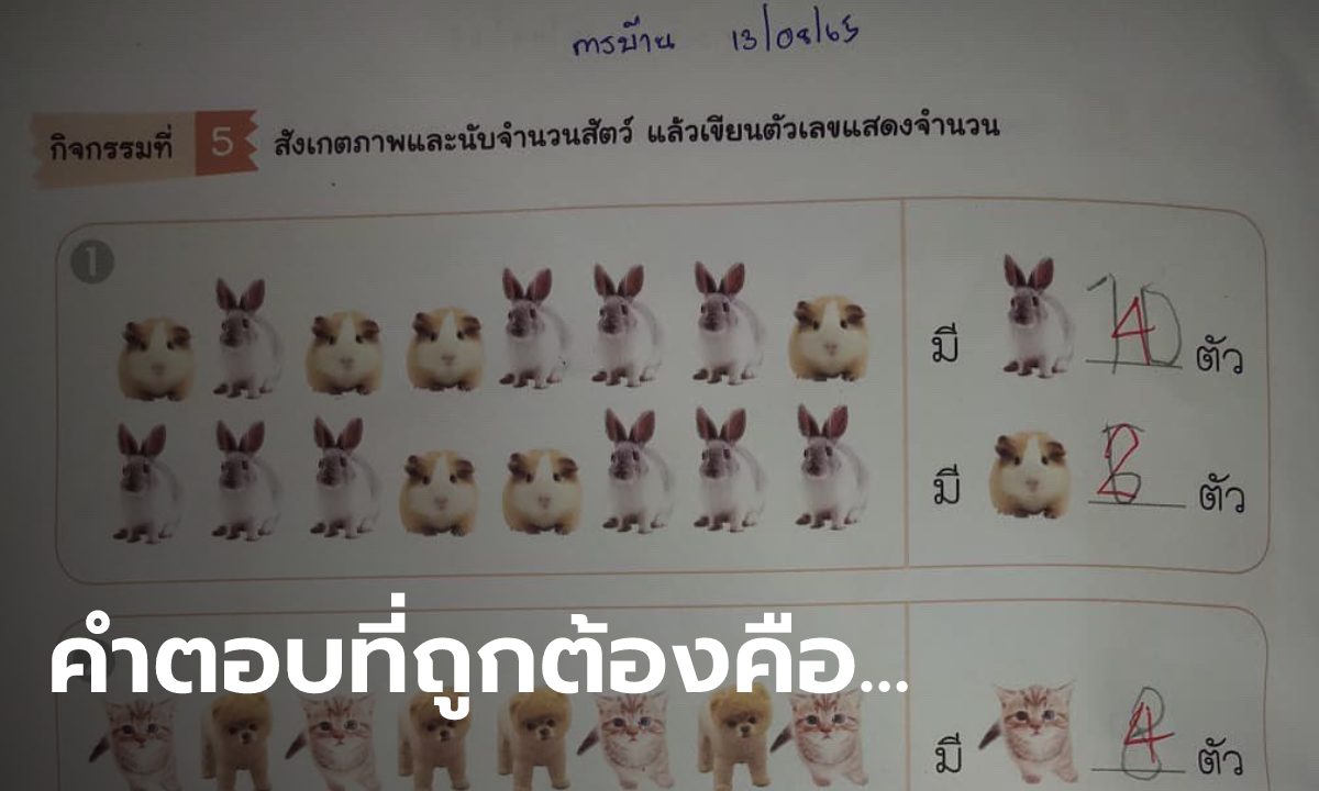 สำนักพิมพ์ตอบแล้ว ดราม่าการบ้าน อ.2 นับจำนวนสัตว์ ครูตีโจทย์ไม่เหมือนผู้ปกครอง