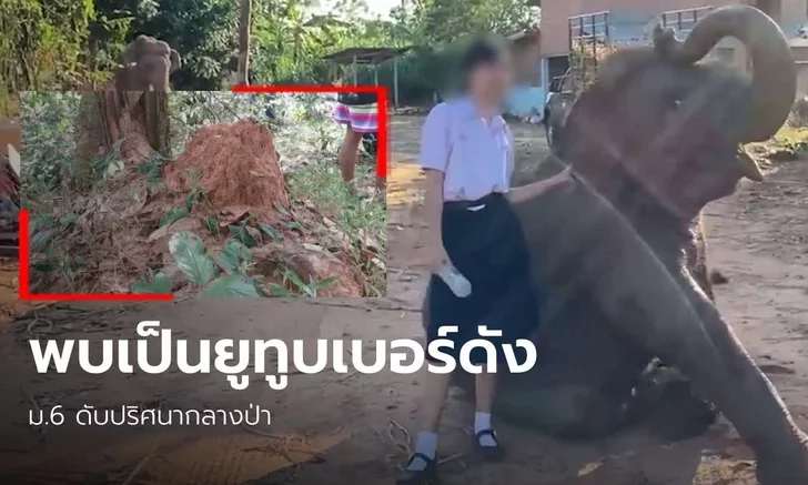 ตาเผยชีวิต "น้องฟิล์ม" กับช้างคู่ใจ ชี้จอมปลวกตรงคำทาย ผีป่าอยากได้ไปเป็นหลาน
