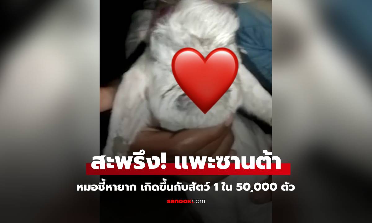 สะพรึง! ชาวบ้านแห่ไปมุง แพะเกิดใหม่หน้าเหมือน "ซานตาคลอส" หมอเผยสลดป่วยอะไร?
