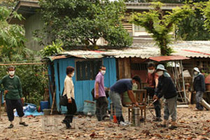 ผวาฝูงหมัดสุนัขบุกรร.เถินวิทยา เมืองลำปาง
