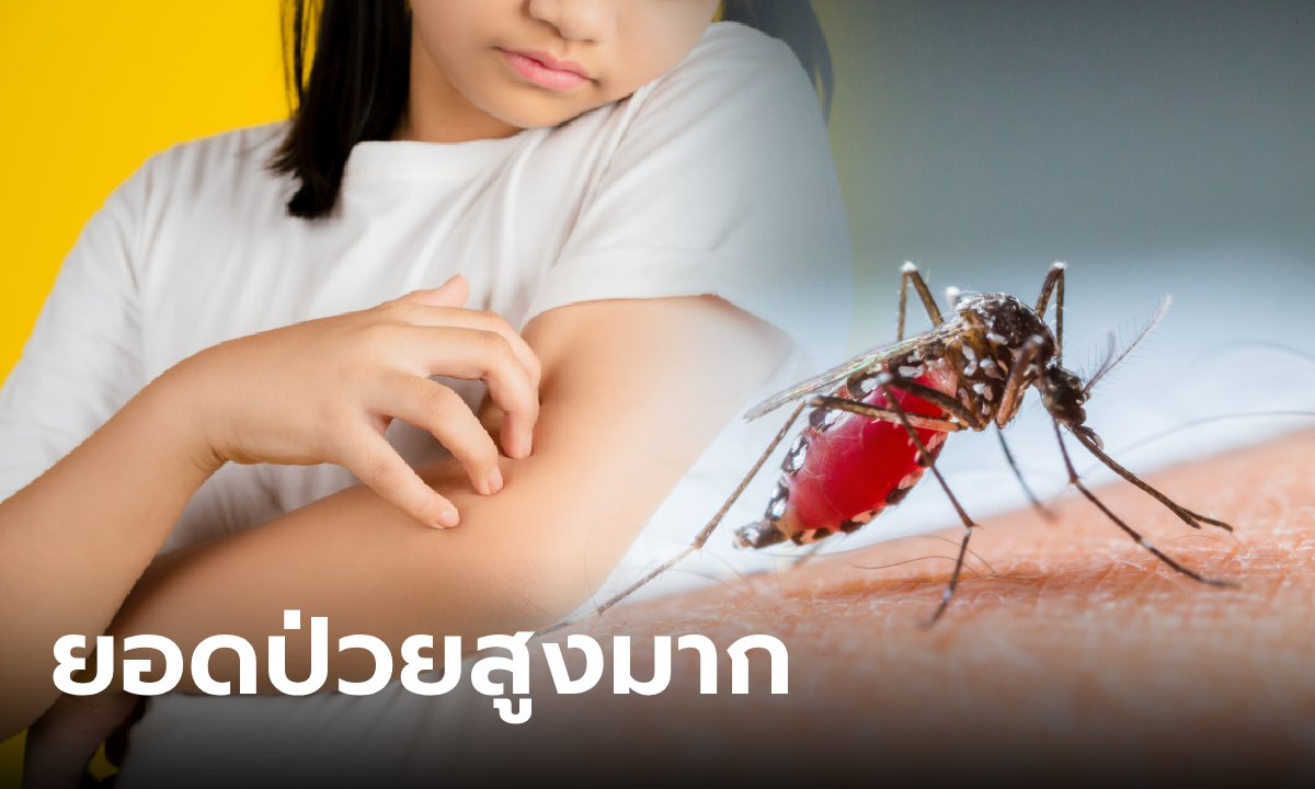 รบ.เตือนไข้เลือดออก ระบาดสูงสุดรอบ 3 ปี ครึ่งปีป่วยแล้วเกือบ 2 หมื่นราย แนวโน้วสูงขึ้นอีก