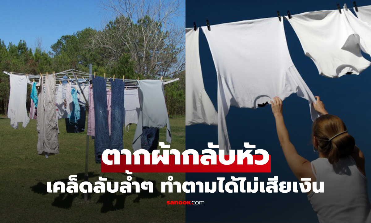 ไขข้อสงสัย! ทำไมต่างชาติ \