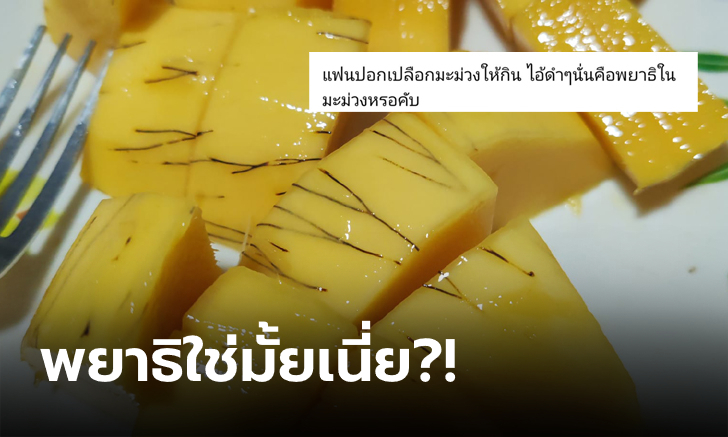 หายสงสัยเสียที! \