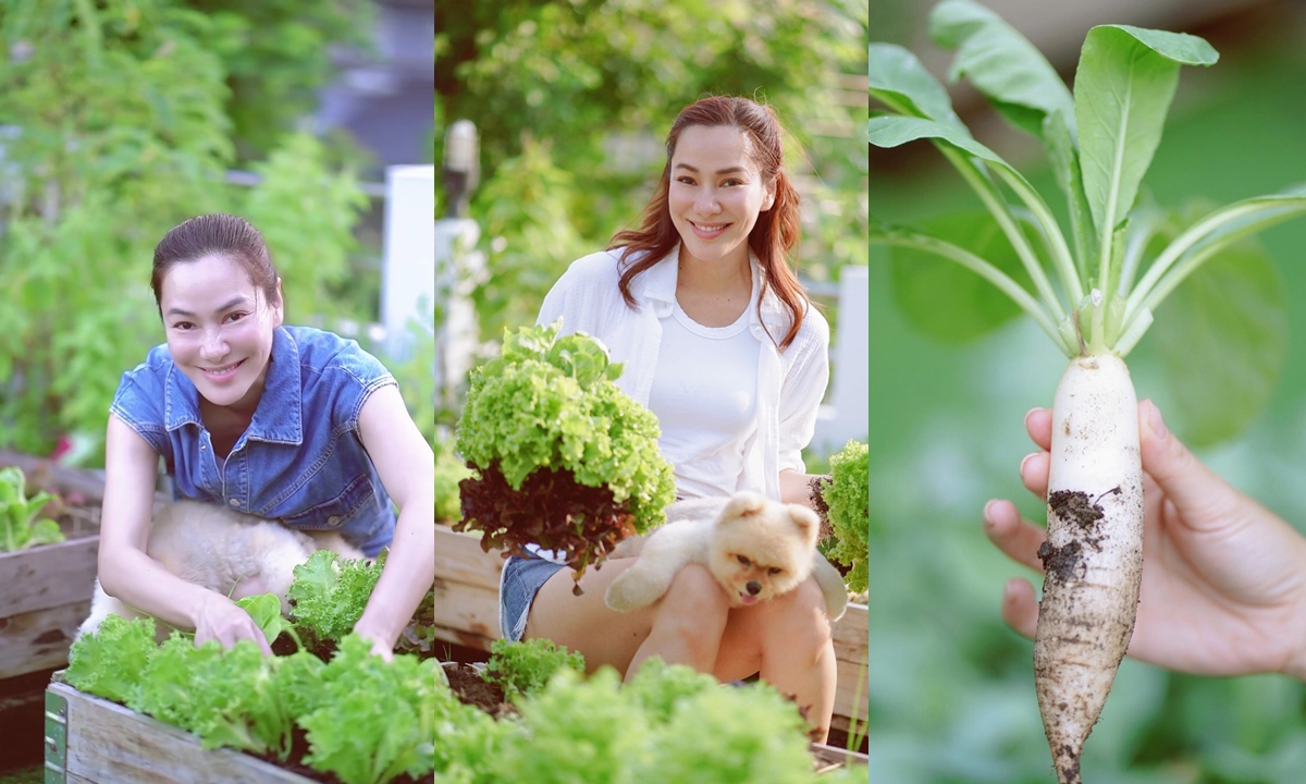 เปิดบ้าน "จอย รินลณี" เรียบแต่หรู มุมคือแปลงพืชผักงามมากทำอาหารหลากเมนู