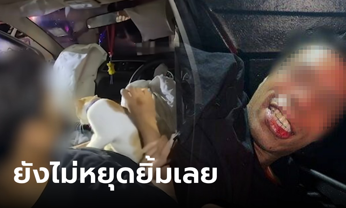เยิ้ม..หนุ่มเมากัญชา ขับรถชนเสาไฟ ตร.ไปเจอ สภาพนอนยิ้ม กอดหมาแมวอยู่ในรถ