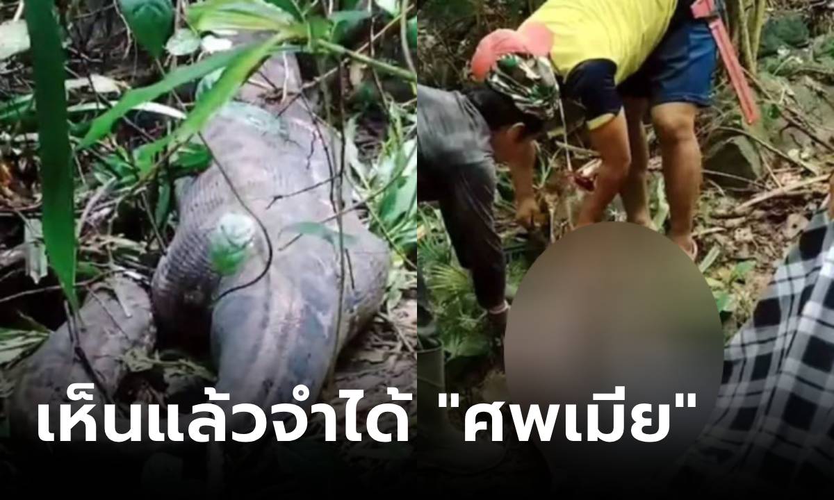 ผัวแทบขาดใจ หลามยักษ์กลืนร่างมนุษย์ ผ่าท้องออกมามั่นใจ \