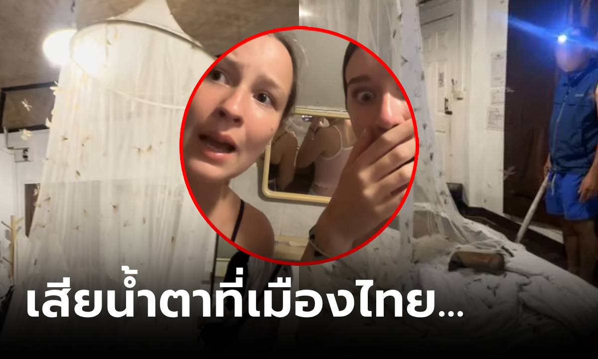 ออกข่าวสื่อนอก นทท.สยอง "ที่พักเมืองไทย" เจองูเห่า-ฝูงแมลงล้อม ต้องขังตัวเองหนีตาย