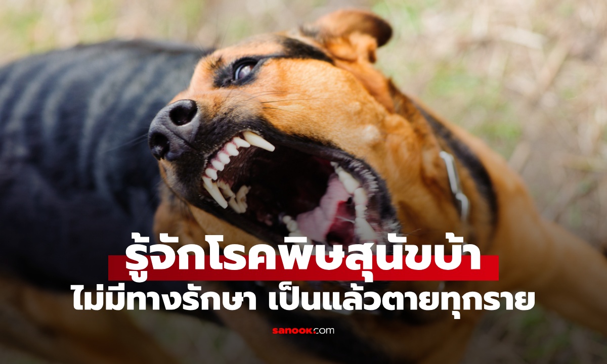 รู้จัก \