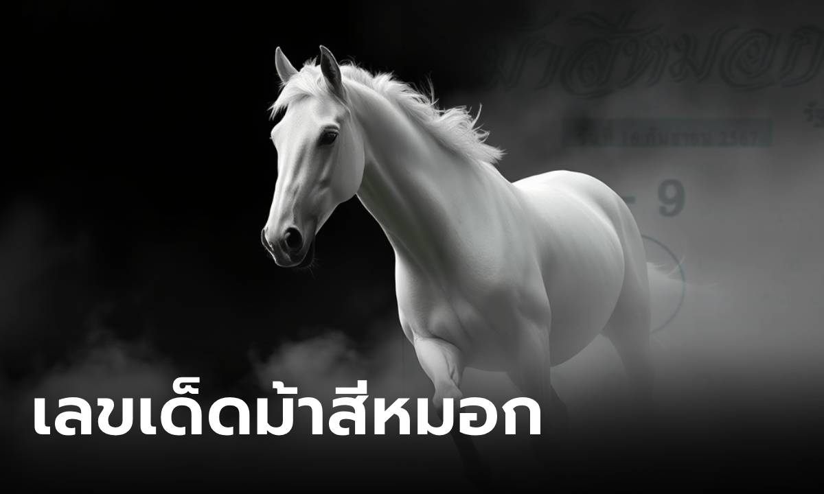 เลขเด็ดม้าสีหมอก งวด 16/9/67 แนวทางเลขนำโชค งวดนี้ 2 มาแรง