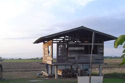 สลด! นร.หญิง ม.1 โดนโจ๋รุ่นพี่ ร.ร.เดียวกัน เรียงคิวข่มขืน