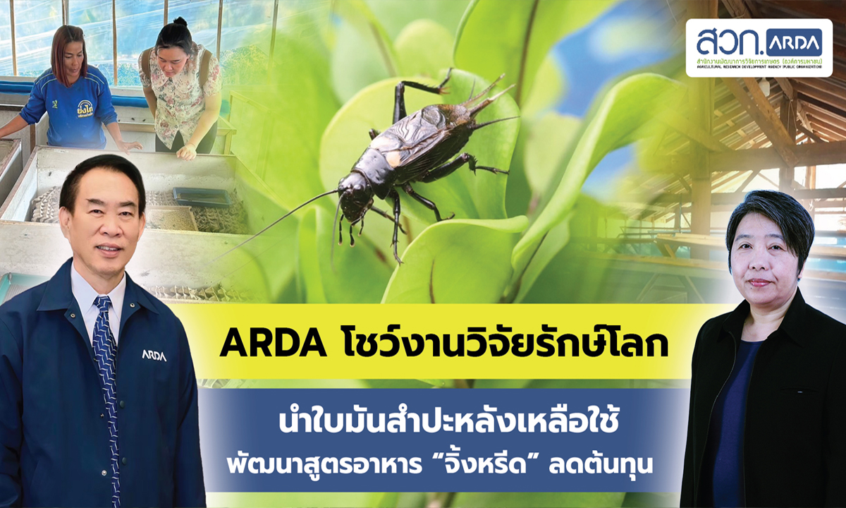 ARDA โชว์งานวิจัยรักษ์โลก นำใบมันสำปะหลังเหลือใช้พัฒนาสูตรอาหาร \