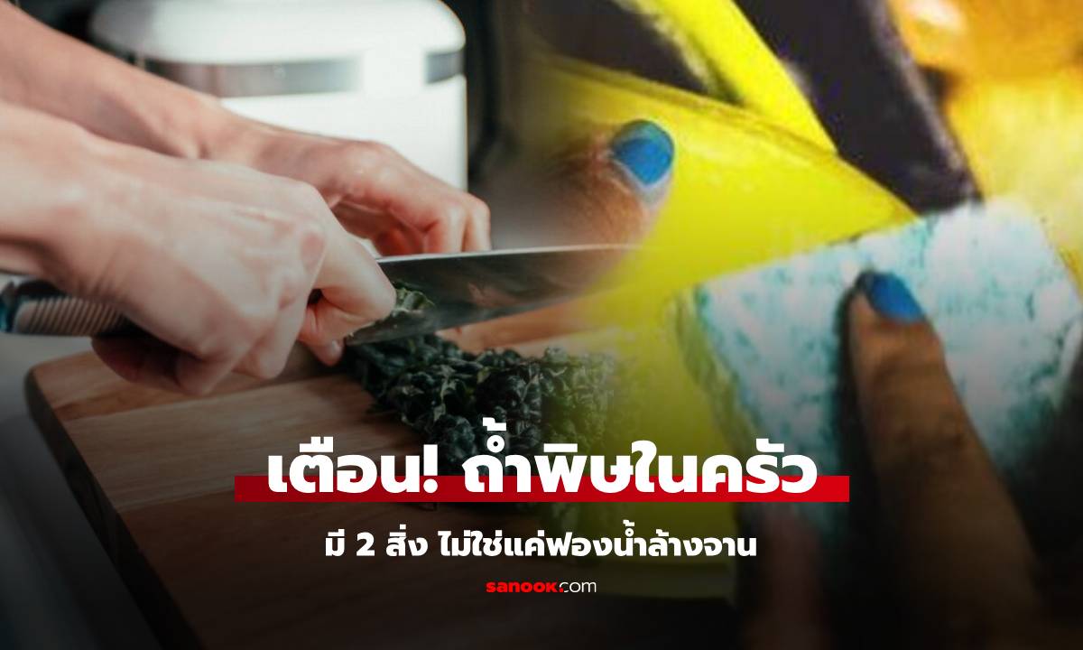 เตือนแล้วนะ! 2 สิ่งในครัวที่เป็น “ถ้ำพิษ” ซ่อนไวรัสเสี่ยงโรคเพียบ ย้ำไม่ใช่แค่ฟองน้ำล้างจาน