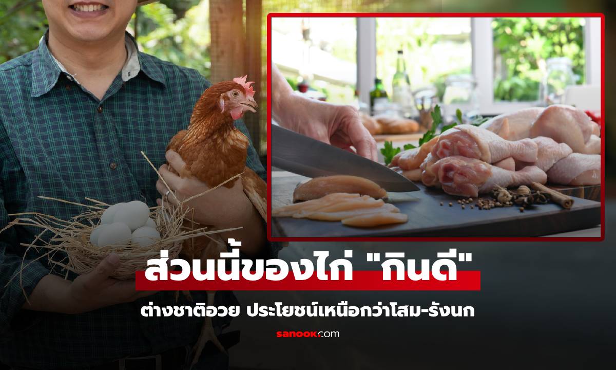 ต่างชาติอวย ส่วนล้ำค่าของไก่ เหนือกว่า \