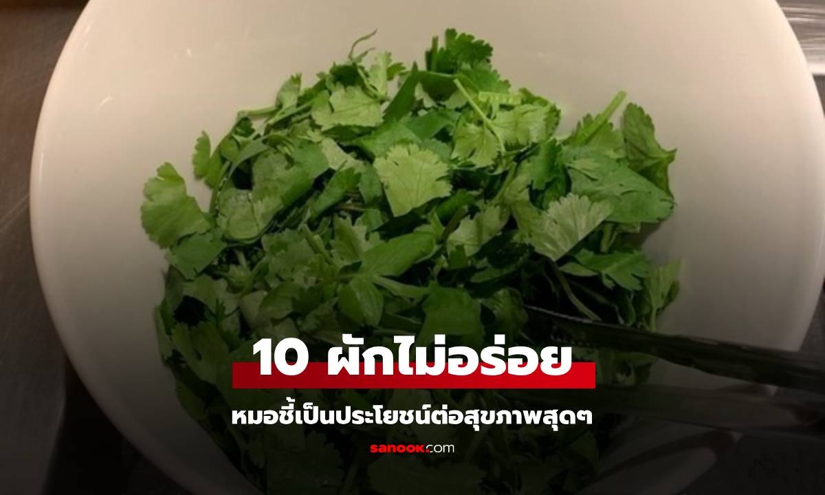 หมอแนะนำ 10 ผักที่ไม่อร่อย แต่เป็นประโยชน์ต่อสุขภาพ ที่ไทยมีครบ หาซื้อก็ง่าย