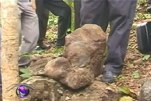 พบฟอสซิลไดโนเสาร์อายุ 210 ล้านปี ในป่าสงวนฯ ที่เลย