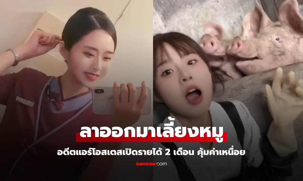 แอร์โอสเตสสาวลาออกมาเลี้ยงหมู เปิดรายได้ 2 เดือน คุ้มค่าเหนื่อย แม้งานทั้งหนักทั้งเหม็น