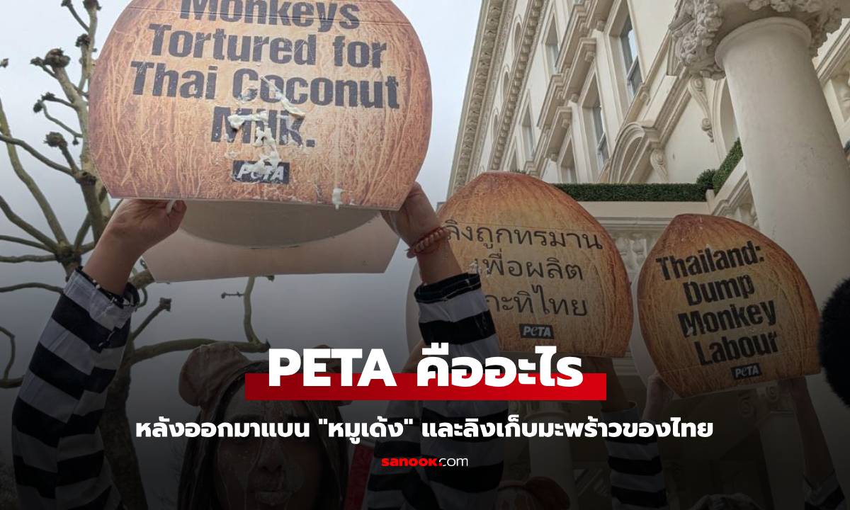 PETA (พีต้า) คืออะไร หลังออกมาต่อต้าน \