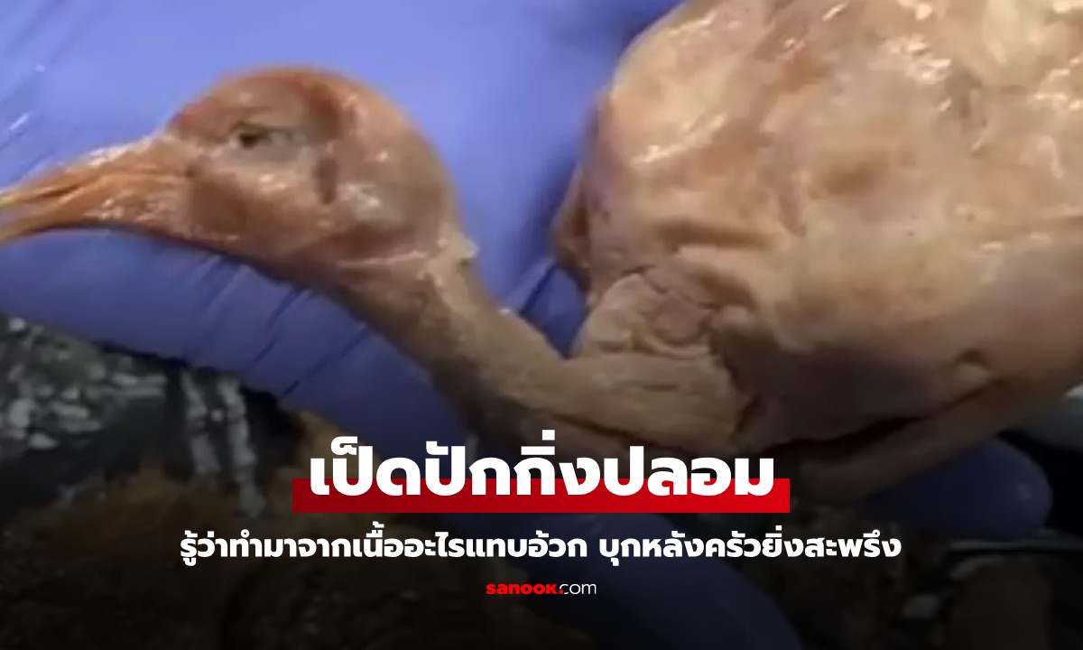 ร้านอาหารจีนขาย "เป็ดปักกิ่งปลอม" รู้ว่าทำมาจากเนื้ออะไรแทบอ้วก บุกหลังครัวยิ่งสะพรึง