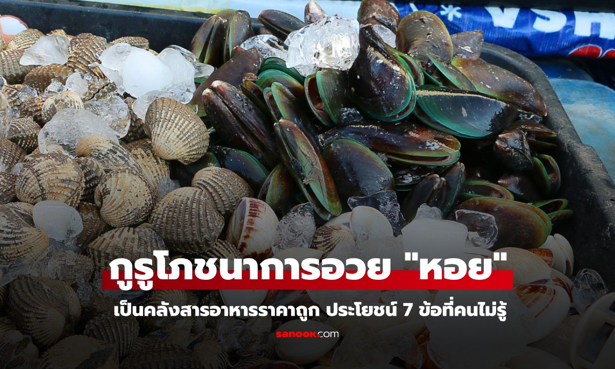 กูรูโภชนาการอวย หอย 1 ชนิด เป็นคลังสารอาหารราคาถูก ประโยชน์ 7 ข้อที่คนไม่รู้