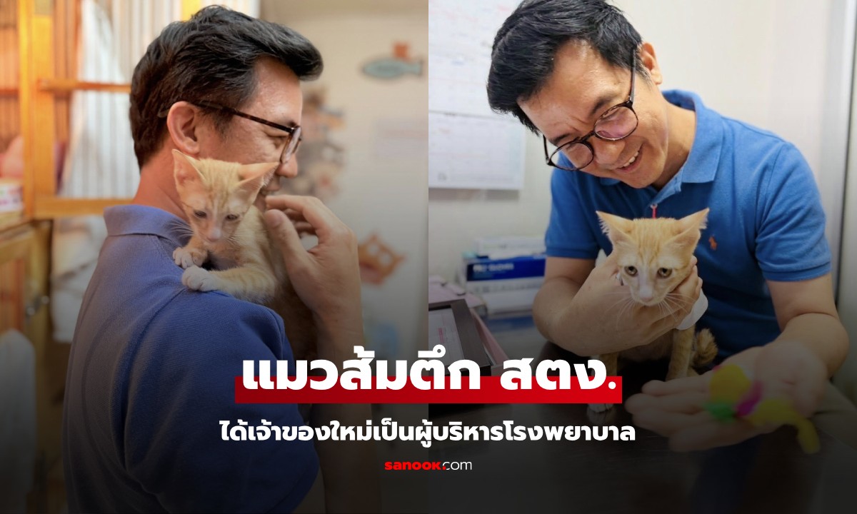 ได้บ้านแล้ว "น้องสตง" แมวส้มติดซากตึก สตง. เจ้าของใหม่เป็นผู้บริหารโรงพยาบาล