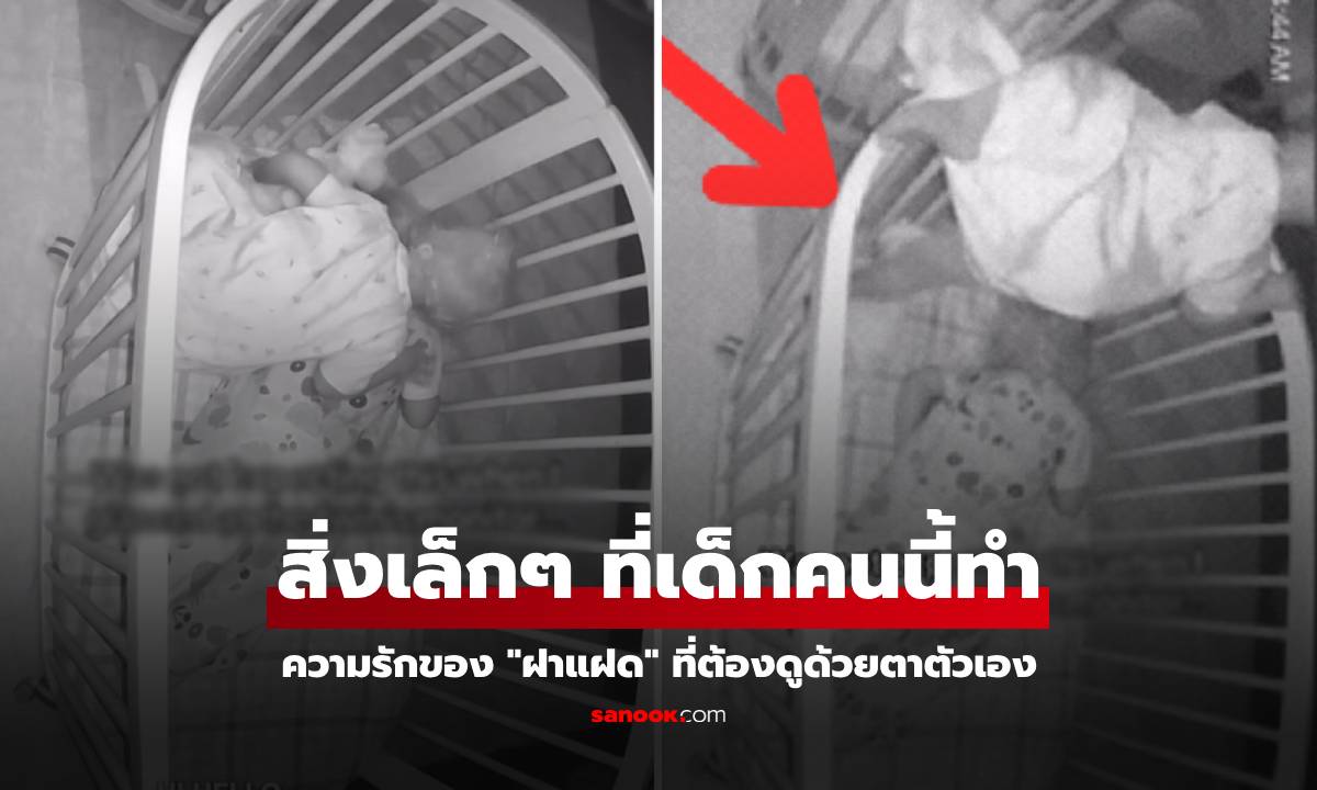 จับใจคนดูนับล้าน การแสดงความรักของ \