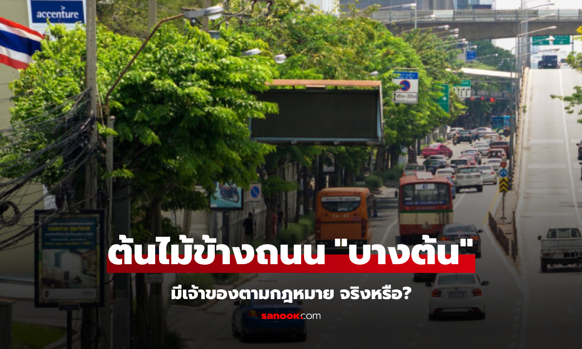 คนไทยรู้ยัง? ต้นไม้ข้างถนน \