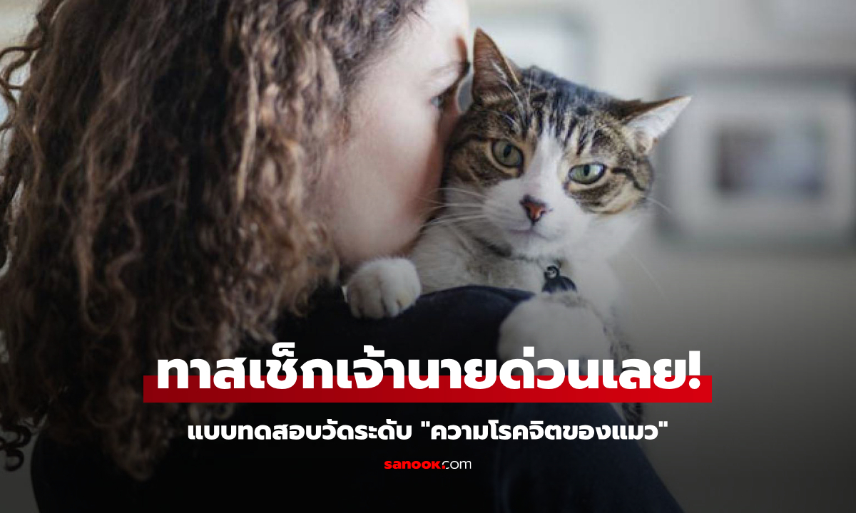 ทาสเช็กเจ้านายด่วน! แบบทดสอบวัดระดับ \