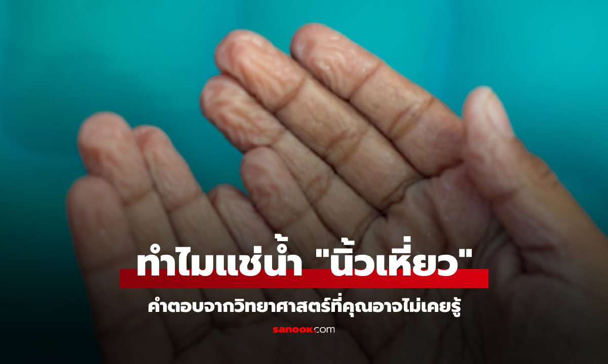 เฉลยแล้ว! ทำไมนิ้วมือ \