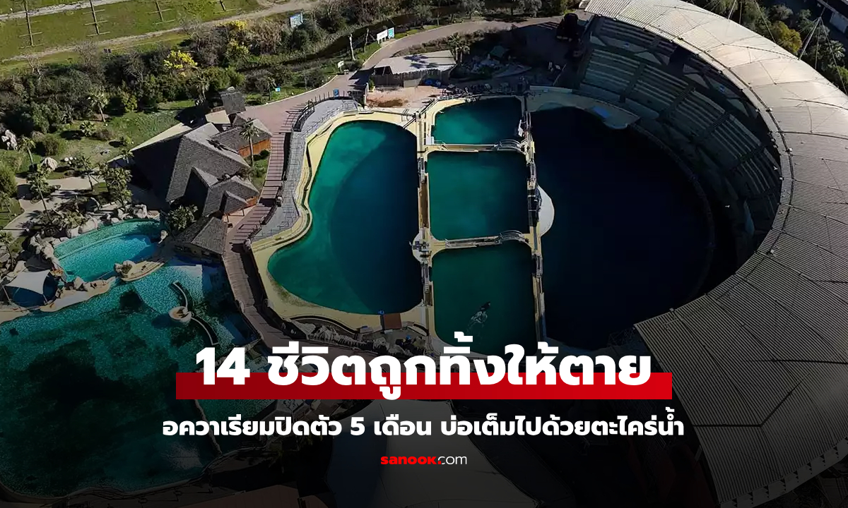 อควาเรียมปิดตัว 5 เดือน บ่อเต็มไปด้วยตะไคร่น้ำ บีบหัวใจ 14 ชีวิต ถูกทิ้งให้รอความตายช้าๆ
