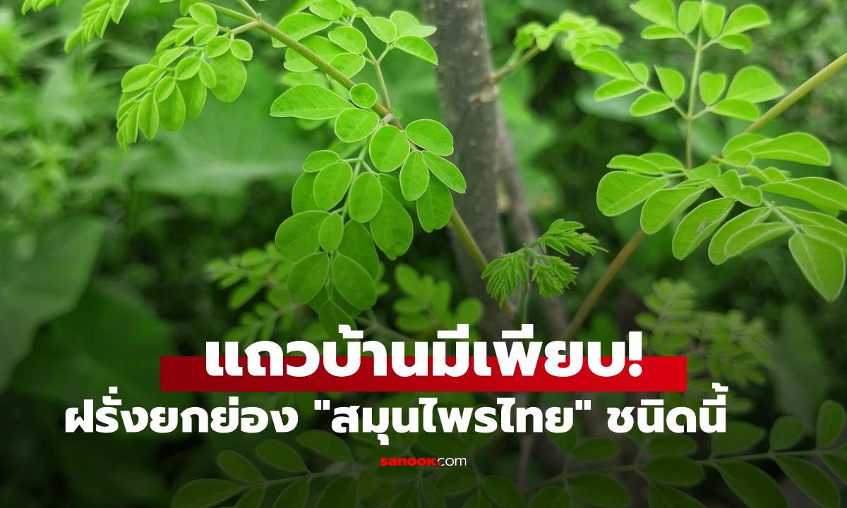 ฝรั่งวิจัยพบ \