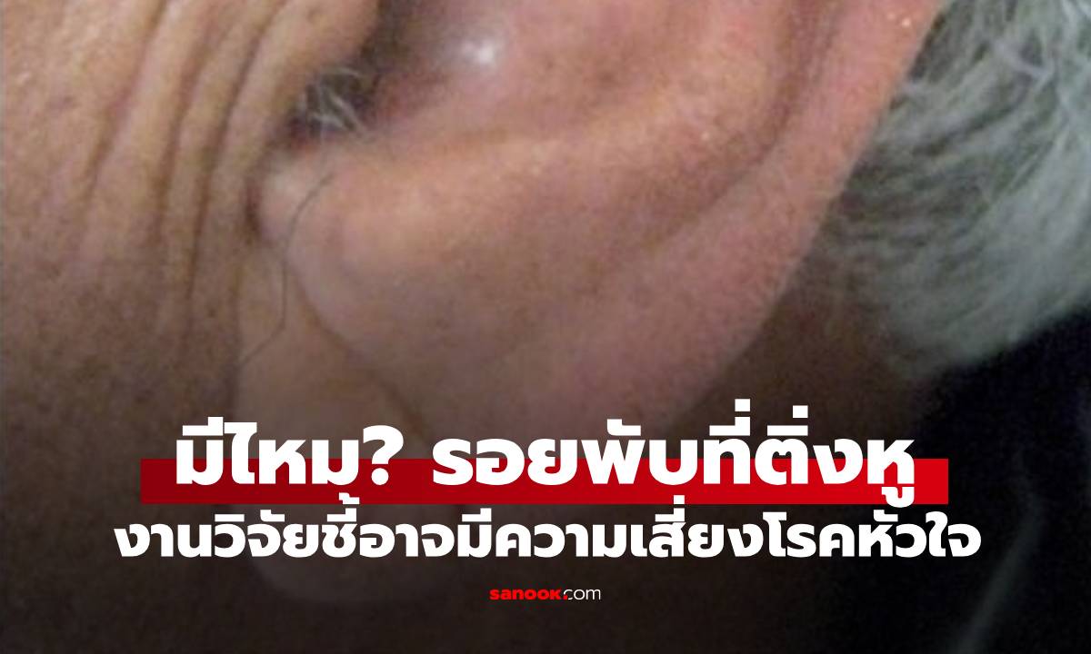 งานวิจัย เผย \
