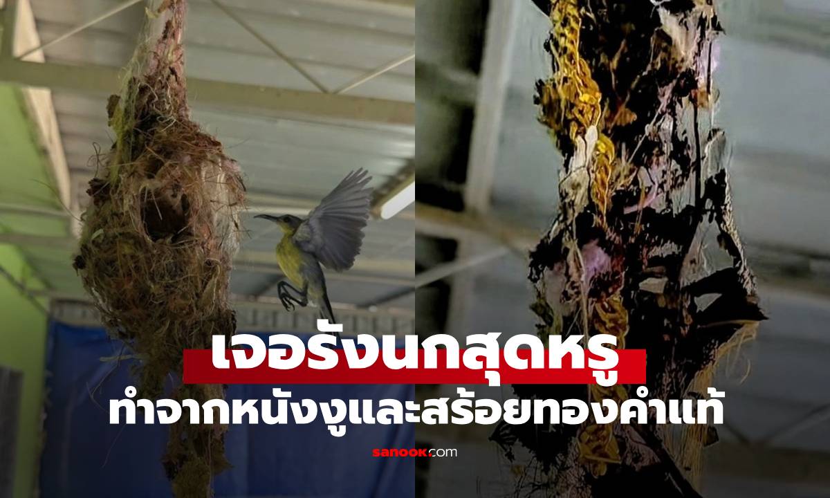 เจ้าของบ้านเจอ \