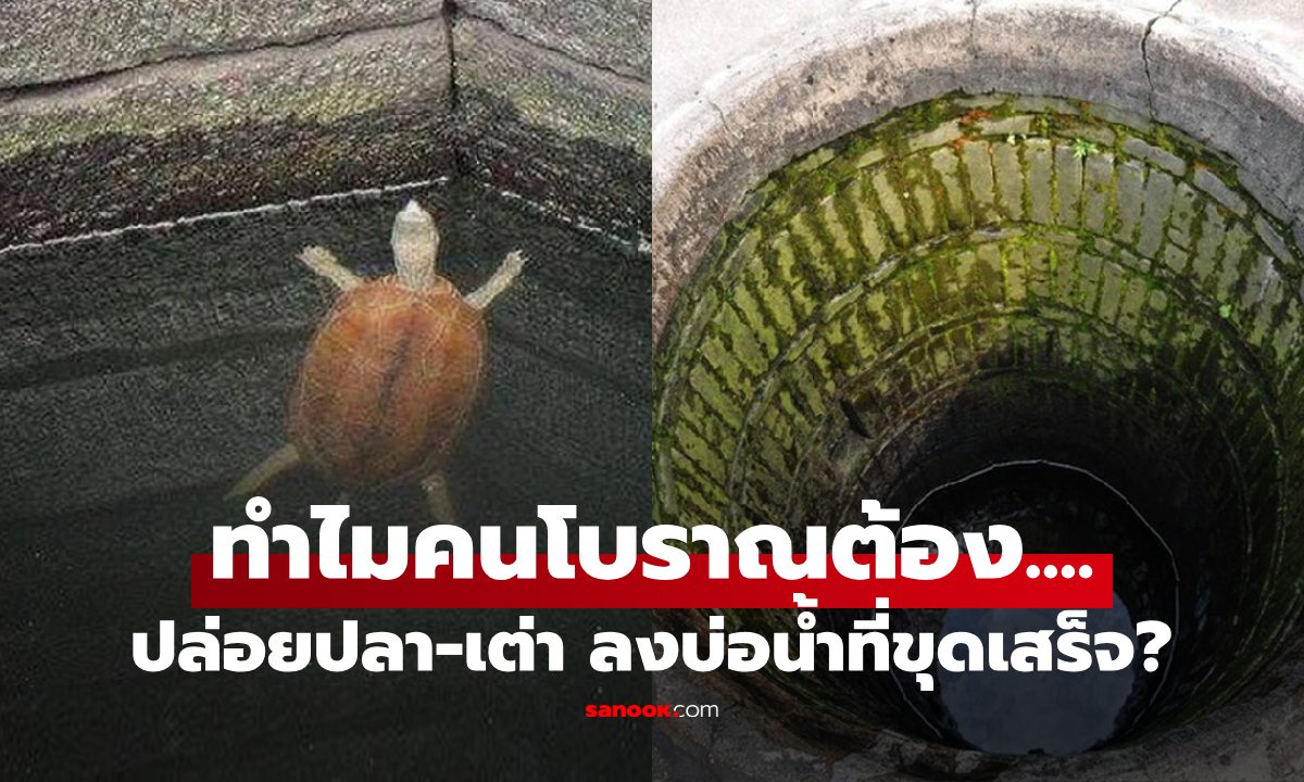 ความลับในบ่อน้ำ! คนโบราณปล่อยปลา-เต่าไว้หลังขุดเสร็จ ไม่ใช่แค่ขอโชค มีประโยชน์กว่านั้น