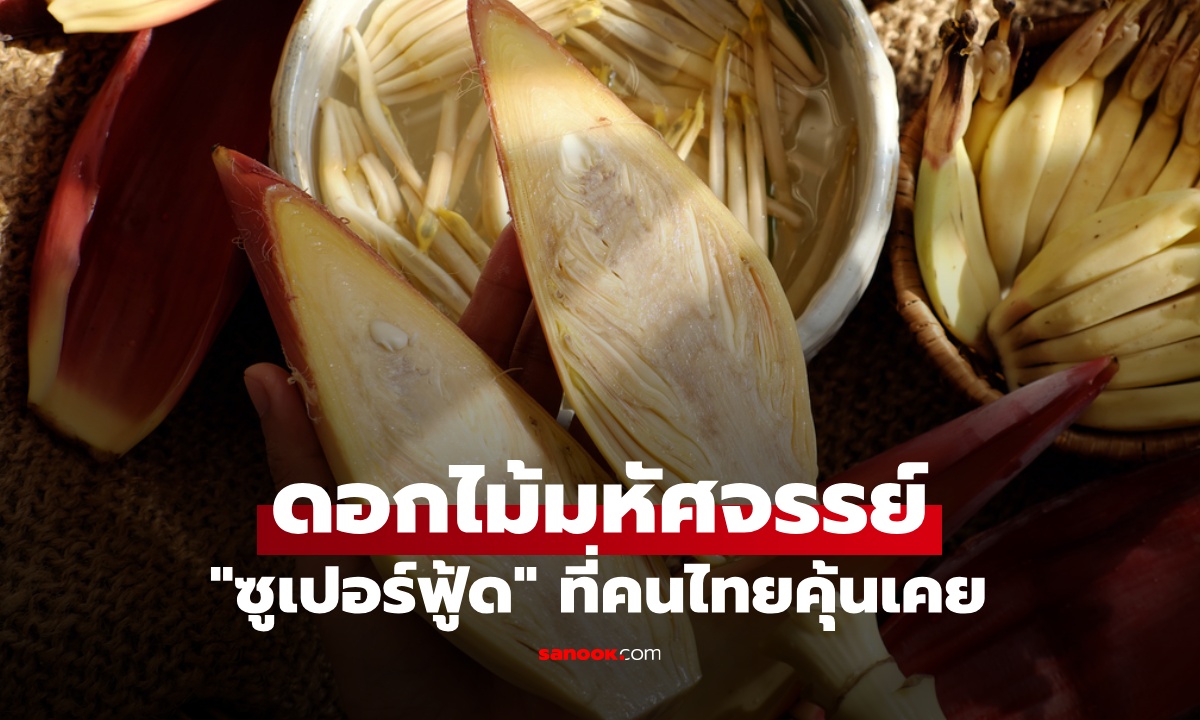 ดอกไม้มหัศจรรย์ "ซูเปอร์ฟู้ด" ที่คนไทยคุ้นเคย ประโยชน์เยอะมาก วีแกนกินแทนเนื้อสัตว์