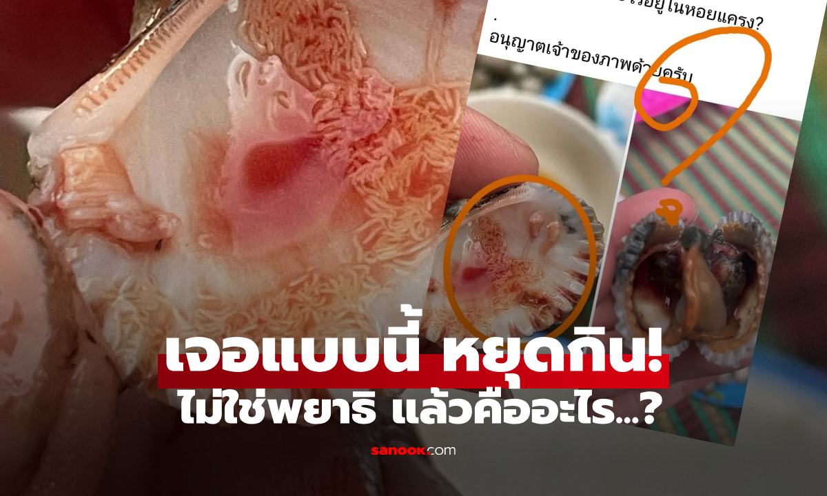 ภาพสะพรึง! สิ่งแปลกปลอมใน "หอยแครง" กูรูชี้ไม่ใช่พยาธิ แต่เจอแบบนี้ควรหยุดกินทันที