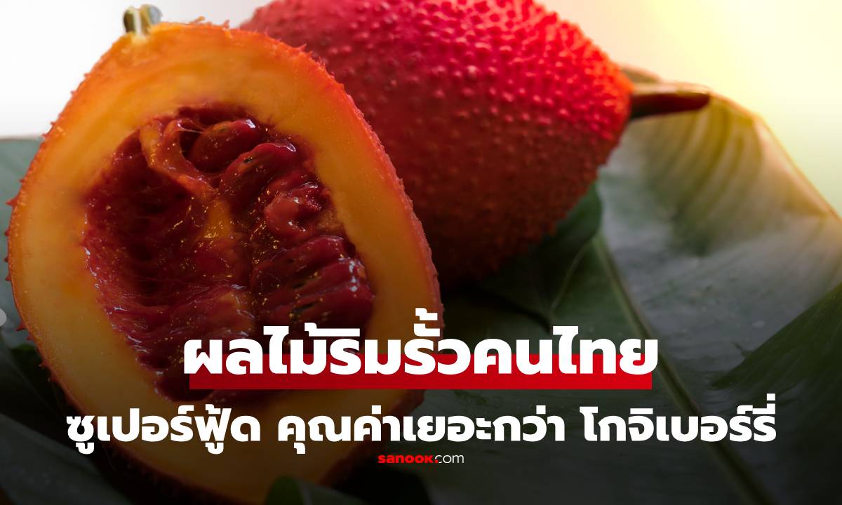 โกจิเบอร์รี่ยังสู้ไม่ได้!  \