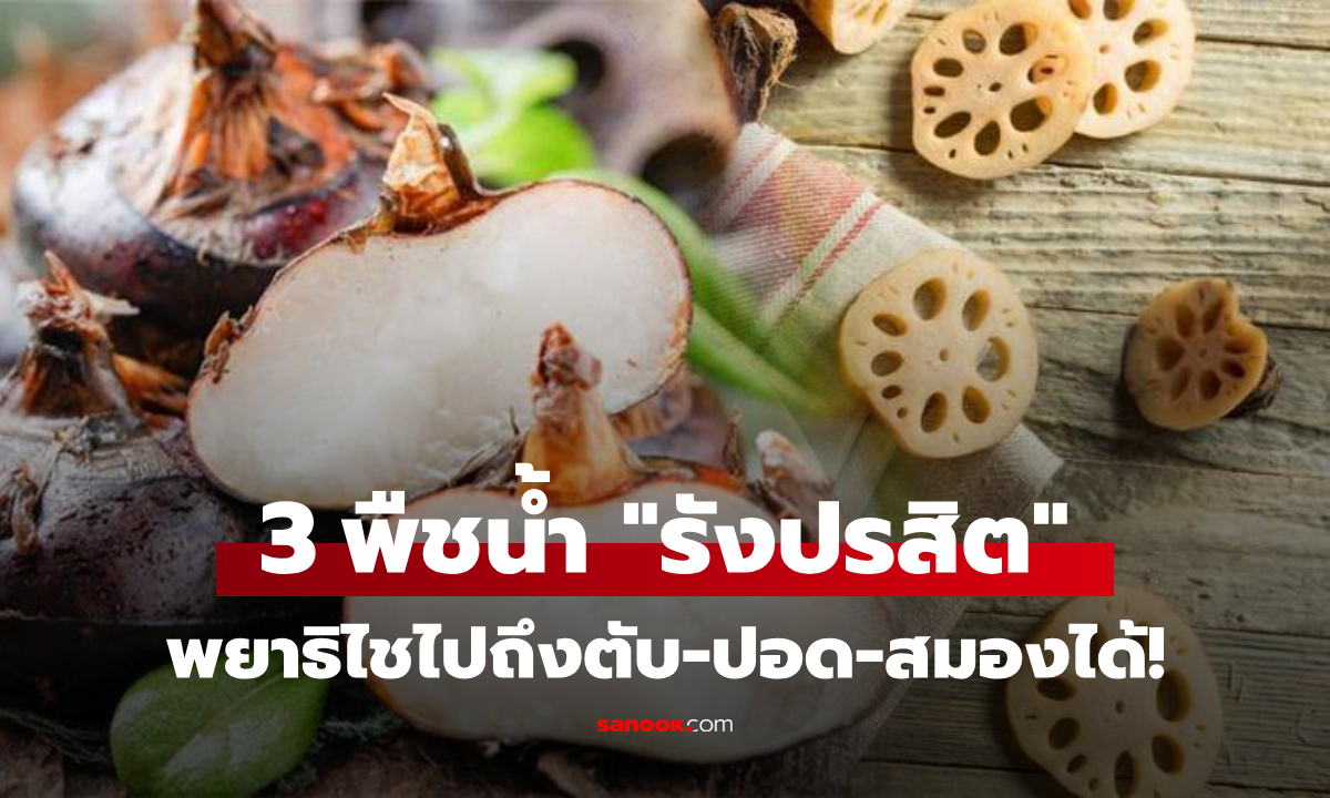 เตือนแล้วนะ! 3 พืชน้ำ เปรียบดัง “รังปรสิต” เสี่ยงโรคหนักถึงสมอง แต่ยังมีคนเชื่อว่ากินดี
