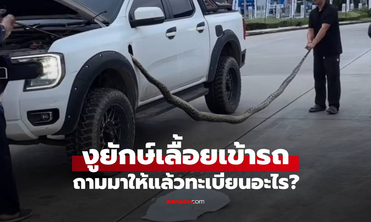 ไม่ต้องส่อง \
