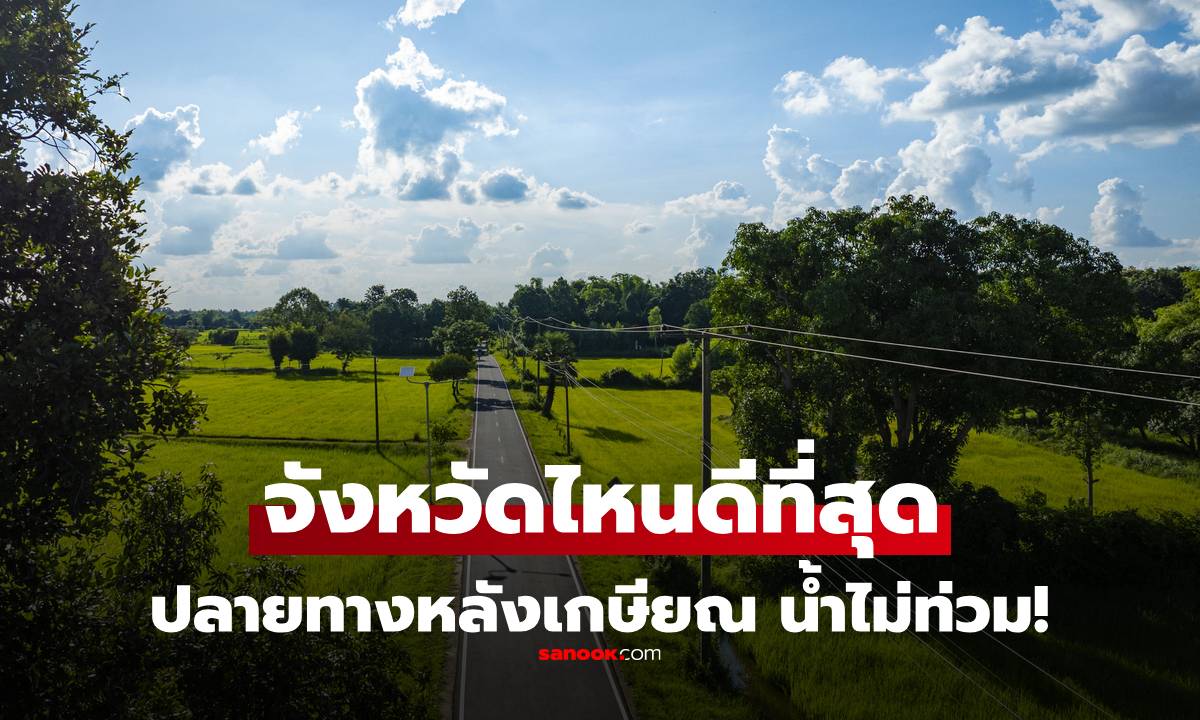 จัดอันดับ \