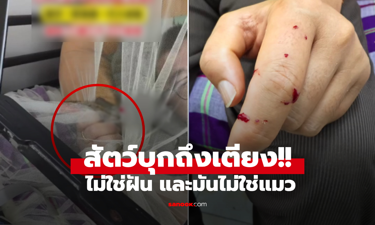 หนุ่มงัวเงีย คิดว่าแมวคลานขึ้นเตียง คว้ามาช็อก \