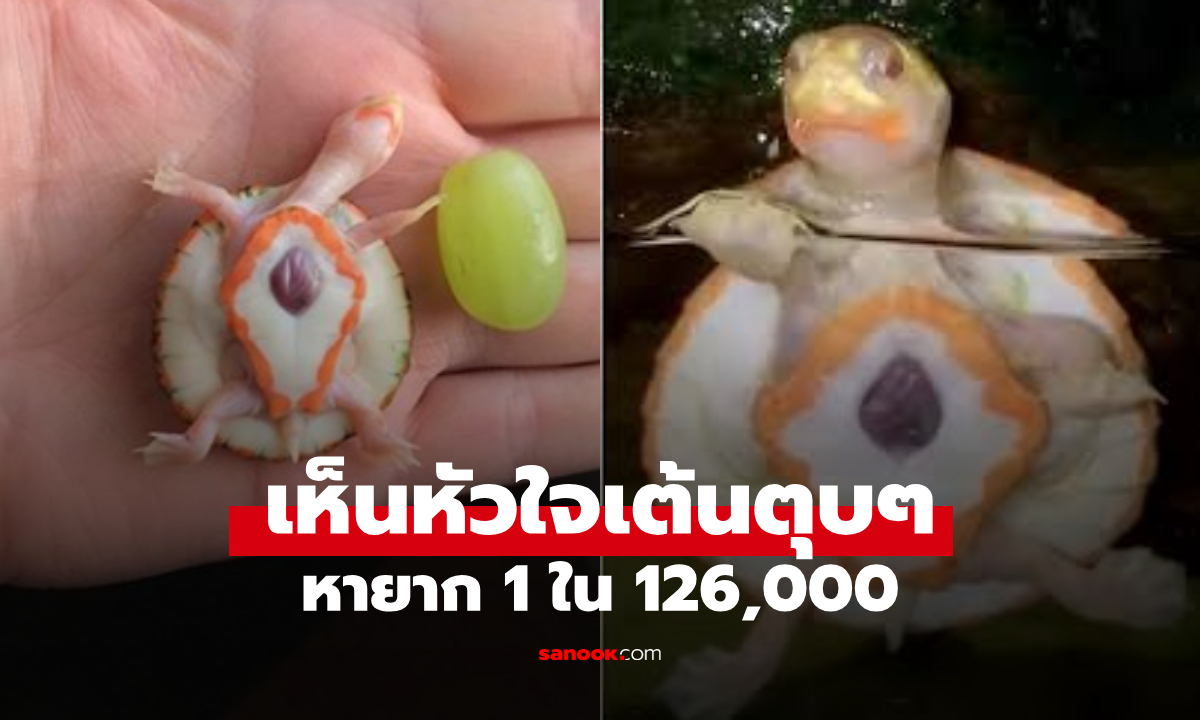 คลิป \