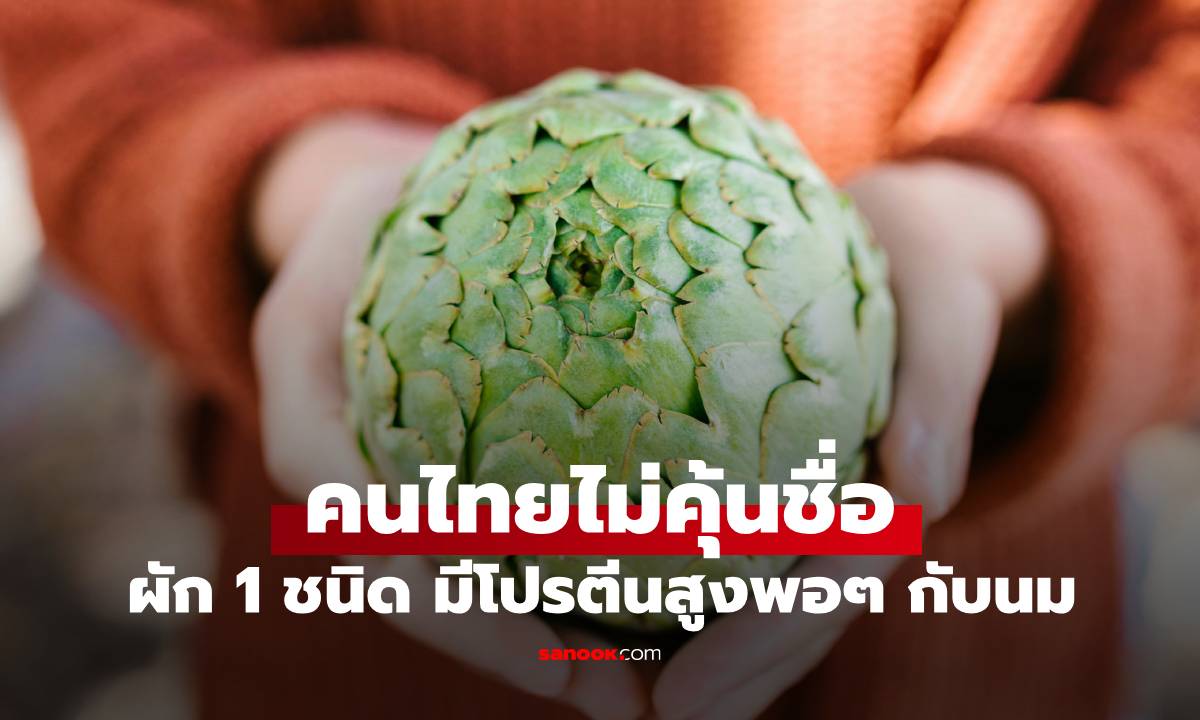 ผัก 1 ชนิด มีโปรตีนสูงพอๆ กับนม คนไทยอาจไม่คุ้นชื่อ แต่หาซื้อได้ไม่ยาก