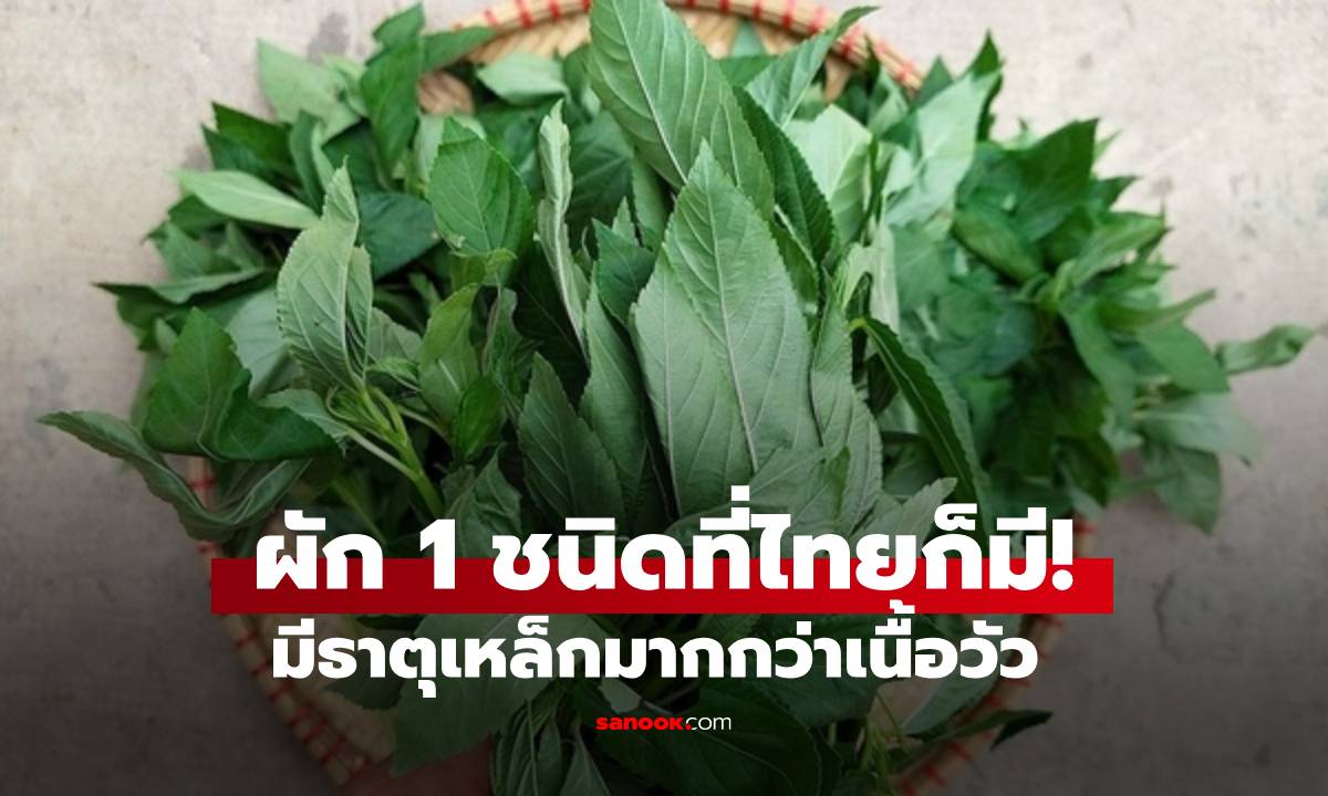 ที่ไทยมี! ผักพื้นบ้าน 1 ชนิด มีธาตุเหล็กมากกว่าเนื้อวัว จีนขนานนาม \
