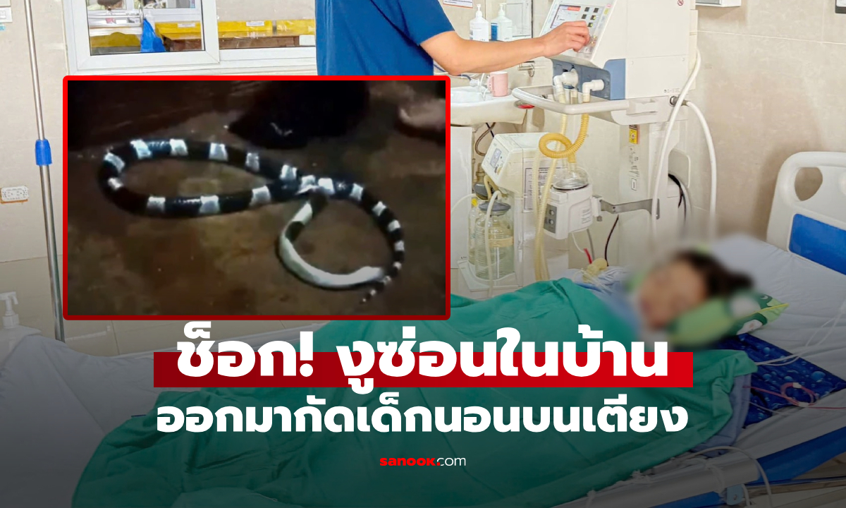 งูพิษกัดเด็ก 7 ขวบ ขณะนอนหลับบนเตียง รู้ว่ามัน \