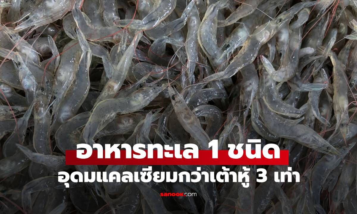 ที่ไทยก็มี! อาหารทะเล 1 ชนิด แคลเซียมมากกว่าเต้าหู้ถึง 3 เท่า จีนยกเป็นยาบำรุง